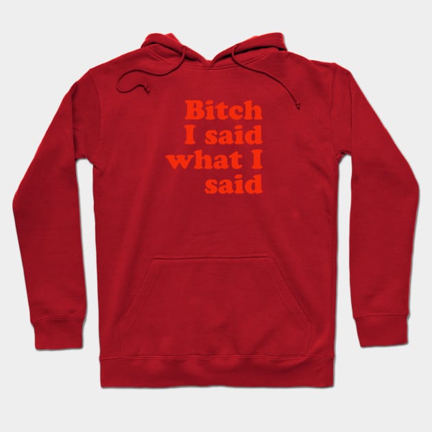 Bitch I said what I said Hoodie by Serenitea Rose